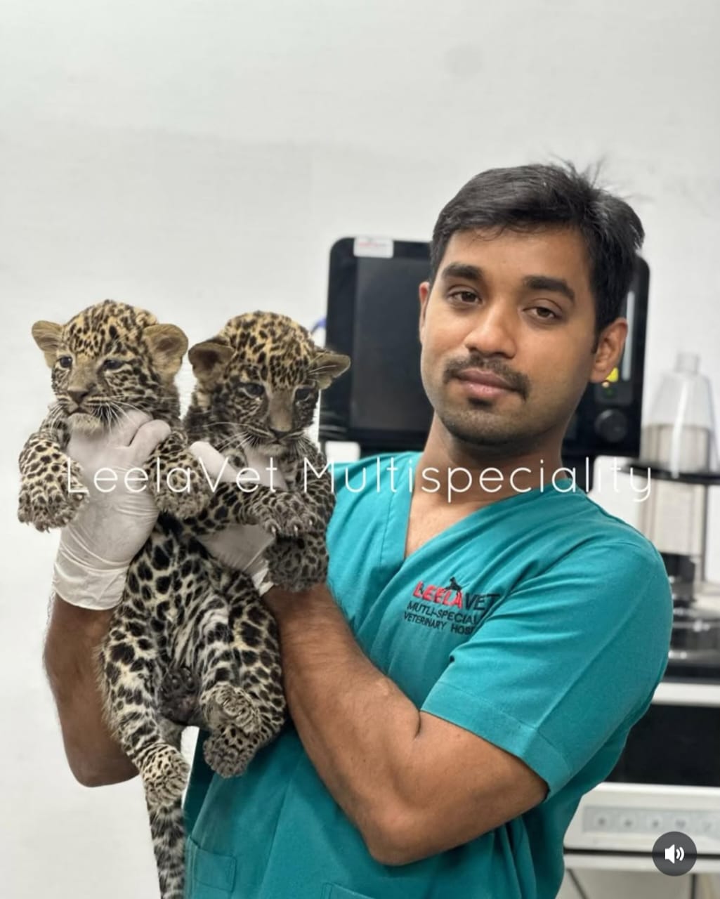 Chief Veterinary Surgeon